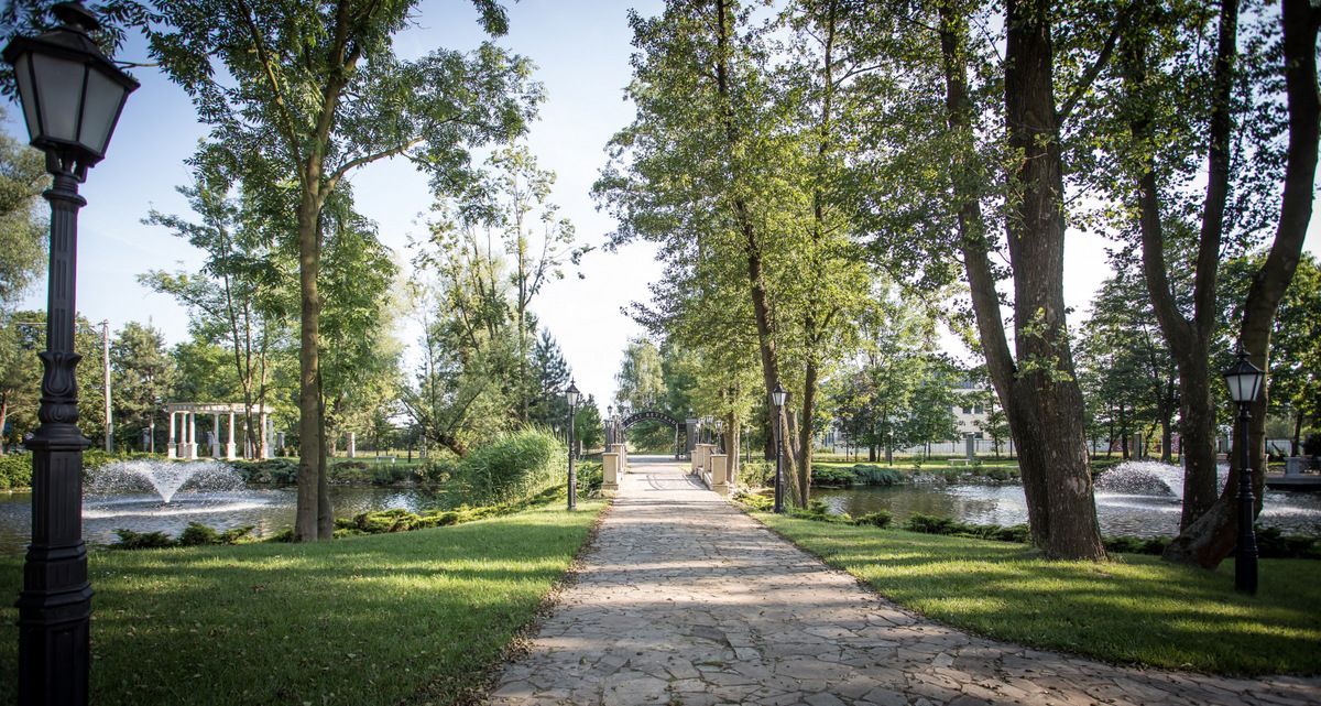 ogród / park, parking